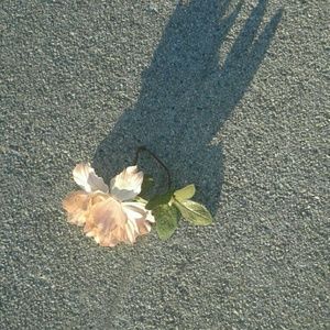 Meet your Posher, Jossie